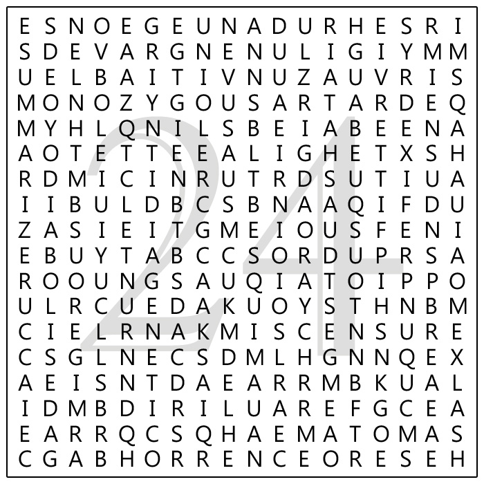 random-word-search-24-nwot