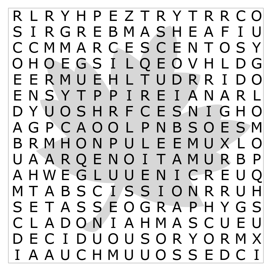 Puzzle 26 Image